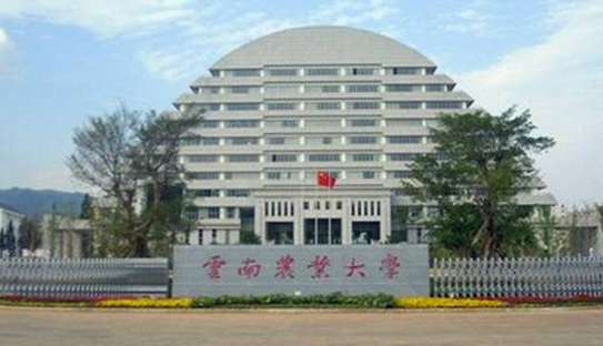 2020年云南理科一本大學名單及排名分數(shù)線(最新)