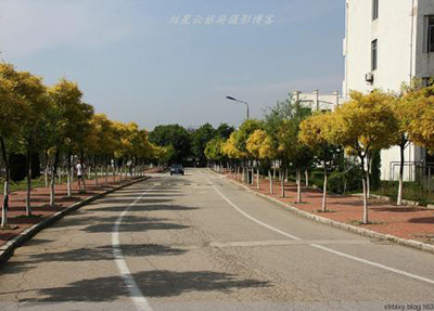 成都航空職業(yè)技術(shù)學(xué)院師資如何 王牌專業(yè)介紹