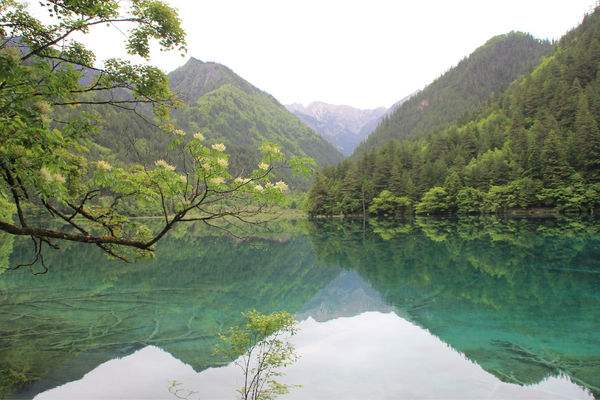 成都市鐵路學(xué)校有沒(méi)有飛機(jī)維修專業(yè)?這個(gè)專業(yè)如何?