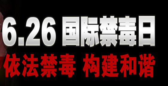 2020年社區(qū)國際禁毒日宣傳活動方案（兩篇）