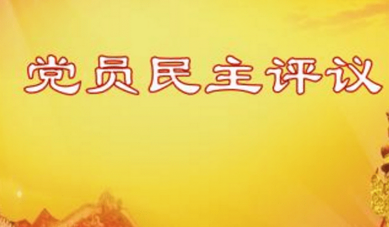 2020年黨員民主評議個人總結(jié)及自評意見（四篇）