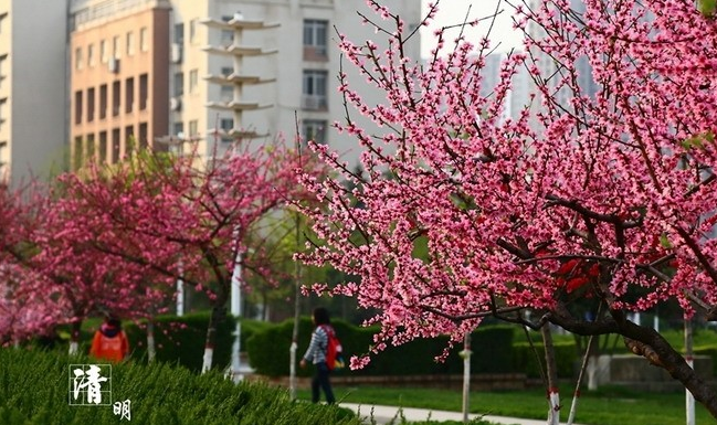 西安郵電大學怎么樣 評價排名好不好(10條)