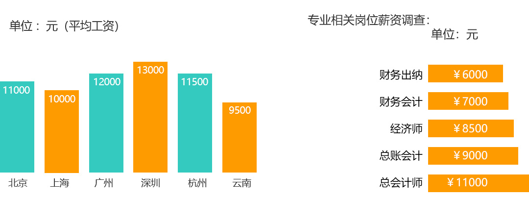 會計專業(yè)