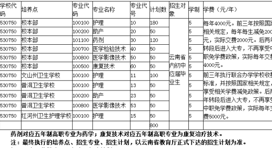 紅河衛(wèi)生職業(yè)學(xué)院五年制大專2020年招生簡章