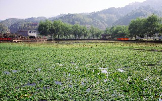 成都市中山職業(yè)技術(shù)學校學校怎么樣