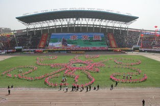 石家莊幼兒師范高等?？茖W(xué)校網(wǎng)站網(wǎng)址聯(lián)系方式