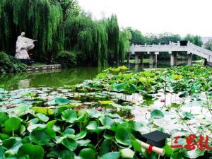 河北美術(shù)學(xué)院怎么樣 評價排名好不好(10條)