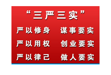 2020年三嚴(yán)三實(shí)學(xué)習(xí)體會思想?yún)R報(bào)