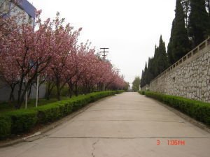 貴州民族大學(xué)校園內(nèi)公路