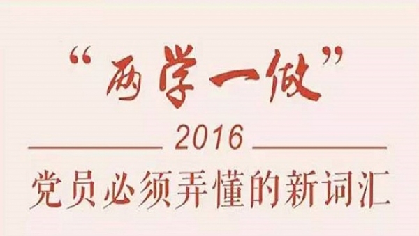 2020年兩學(xué)一做研討交流材料精選