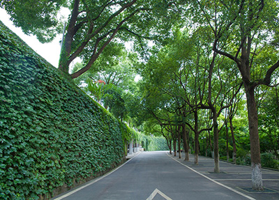 校園風(fēng)景